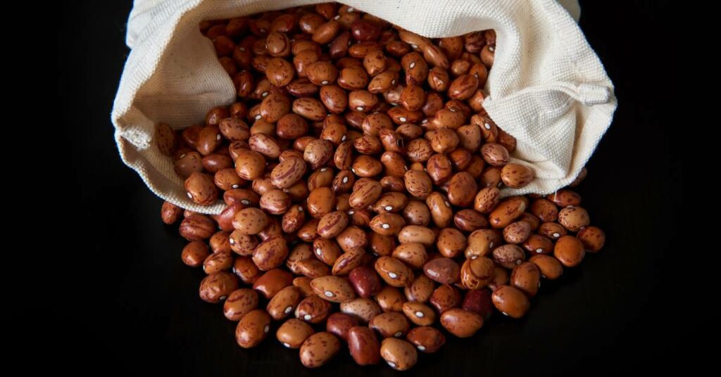 10 Pinto Bean Substitutes