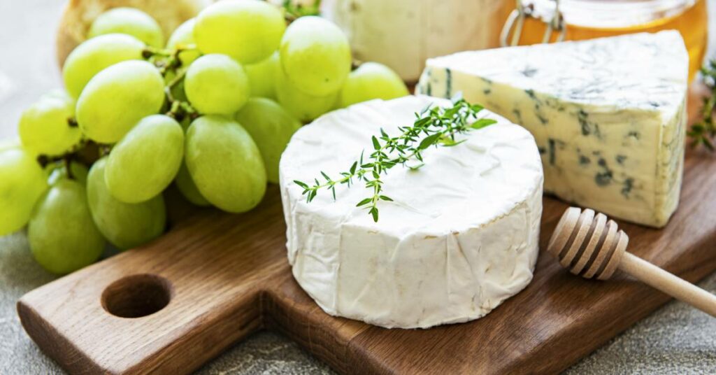 10+ Tasty Manchego Cheese Substitute