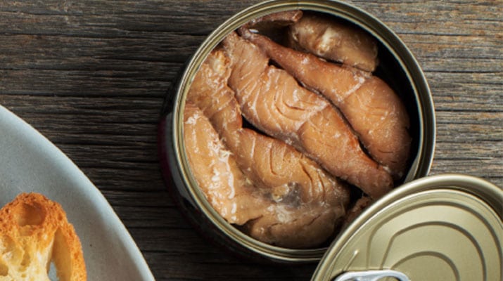 canned salmon buying guide