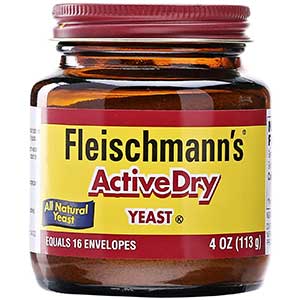 fleischmanns active dry