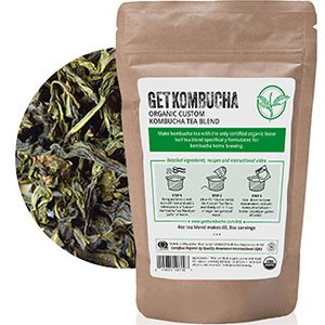 Organic Kombucha Tea