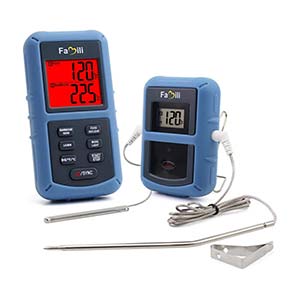 famili electronic thermometer