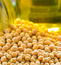 soybean oil vs peanut oil