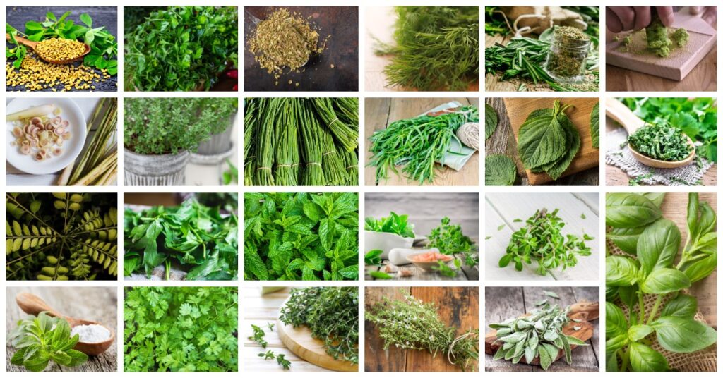 23 Fresh Herbs and Spices