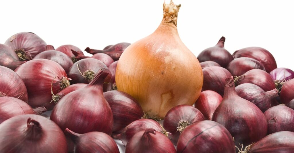 10 red onion substitutes for your dish of the day