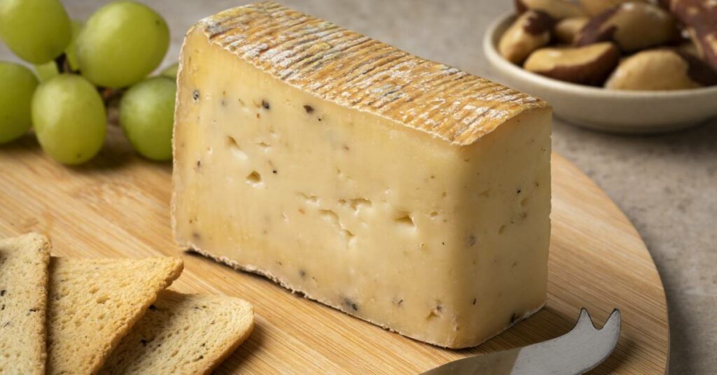 taleggio cheese substitutes