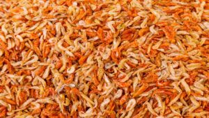How To Tell If Dried Shrimp Is Bad