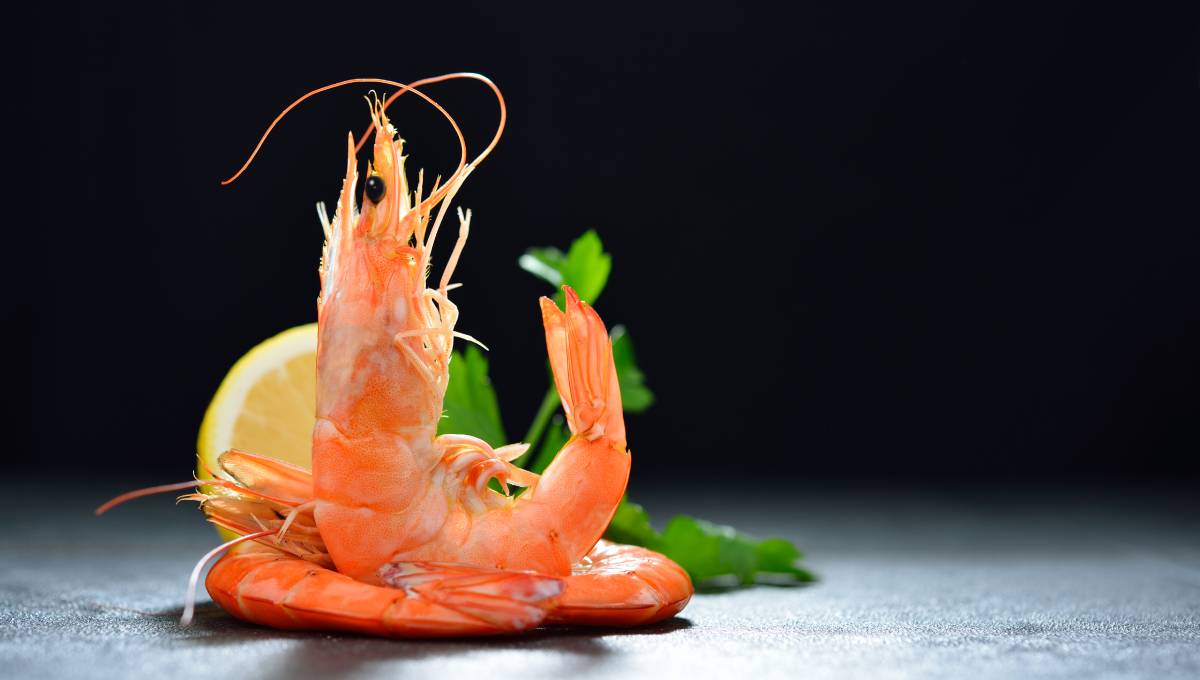 Why Is Shrimp Tasteless